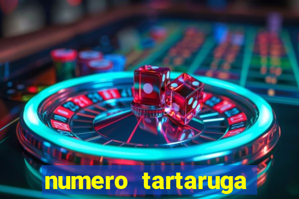 numero tartaruga jogo do bicho